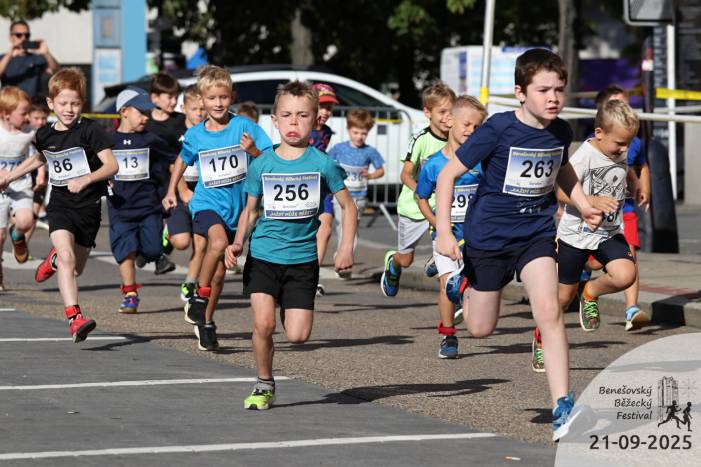 0086;0013;0170;0256;0263;0298;n