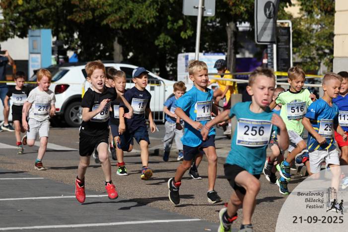 0093;0278;0086;0013;0170;0256;0516;0298;0113;n